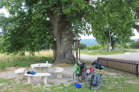 2/06 : Pause à l'ombre