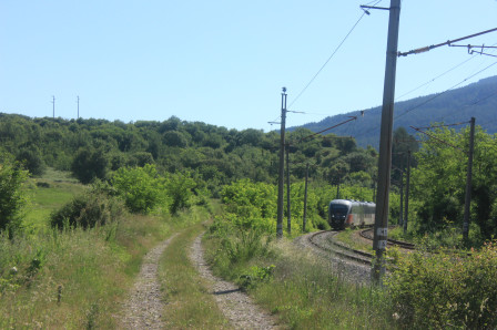 6/06 : Véloroute bulgare 19