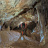 25/06 : Salle fossile proche de l'entrée