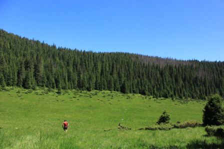 17/06 : Plaine d'Herbouilly